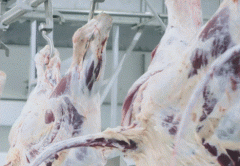 仅限三天限时勾当！潮汕50大哥字号牛肉丸收割无